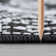 Campbelltown Indoor / Outdoor Rug