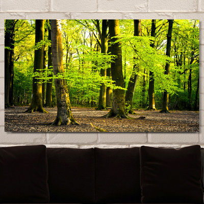 " Bright Summer Forest I "