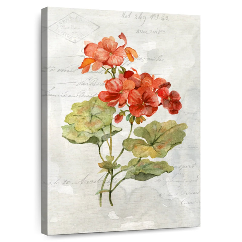 Harnek Linen Geranium II, 48" H x 32" W