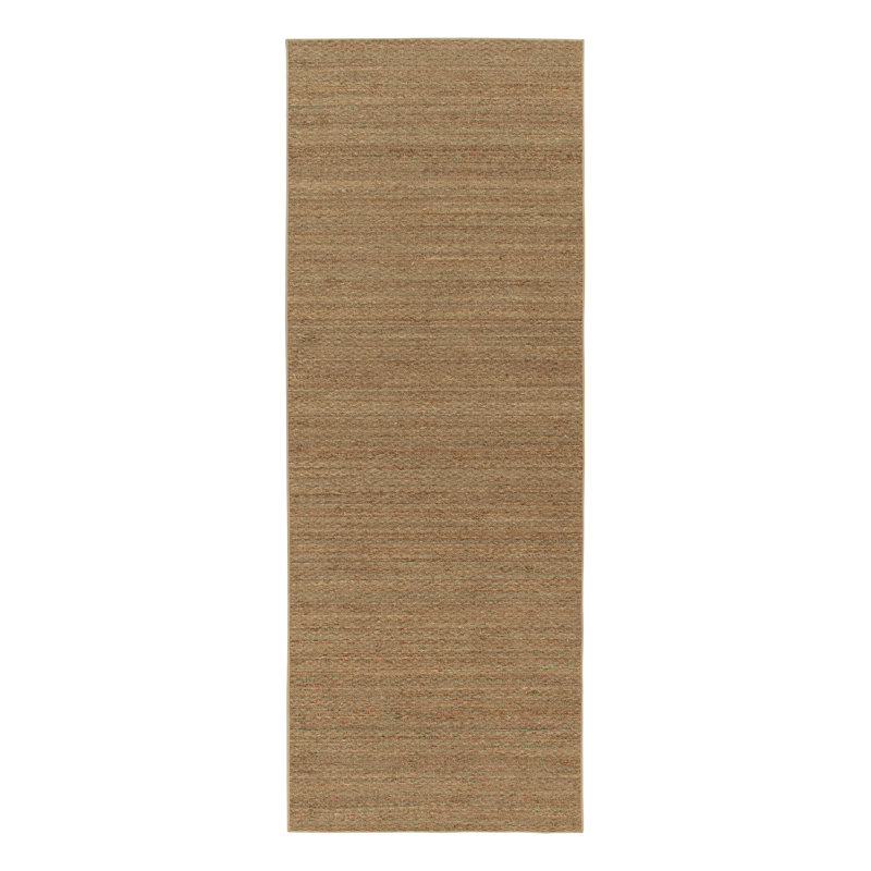 Area Rug in Brown