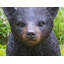 Animals Weather Resistant Water Resistant UV Resistant Polyresin Garden Statue