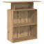 Baheerathan Standing Desk-1102109477