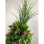 Arrangement floral en pot