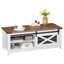 Table basse, table basse avec rangement et porte de grange coulissante pour salon Alsacia