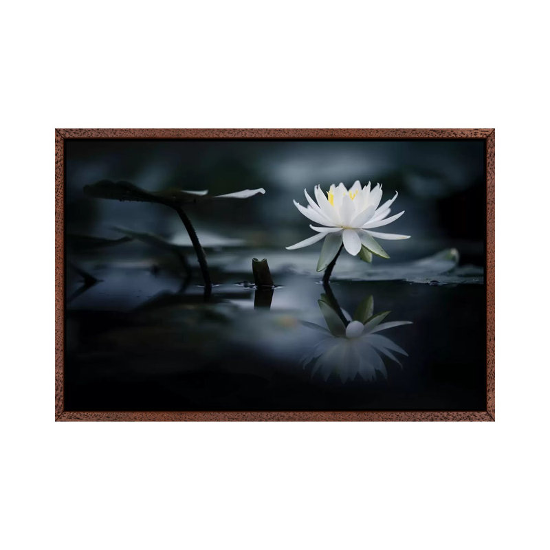 Reflection by Takashi Suzuki - Print on Canvas, Classic Brown Wood Framed, 101.6 cm H x 66.04 cm W
