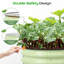 Planter-1792860412