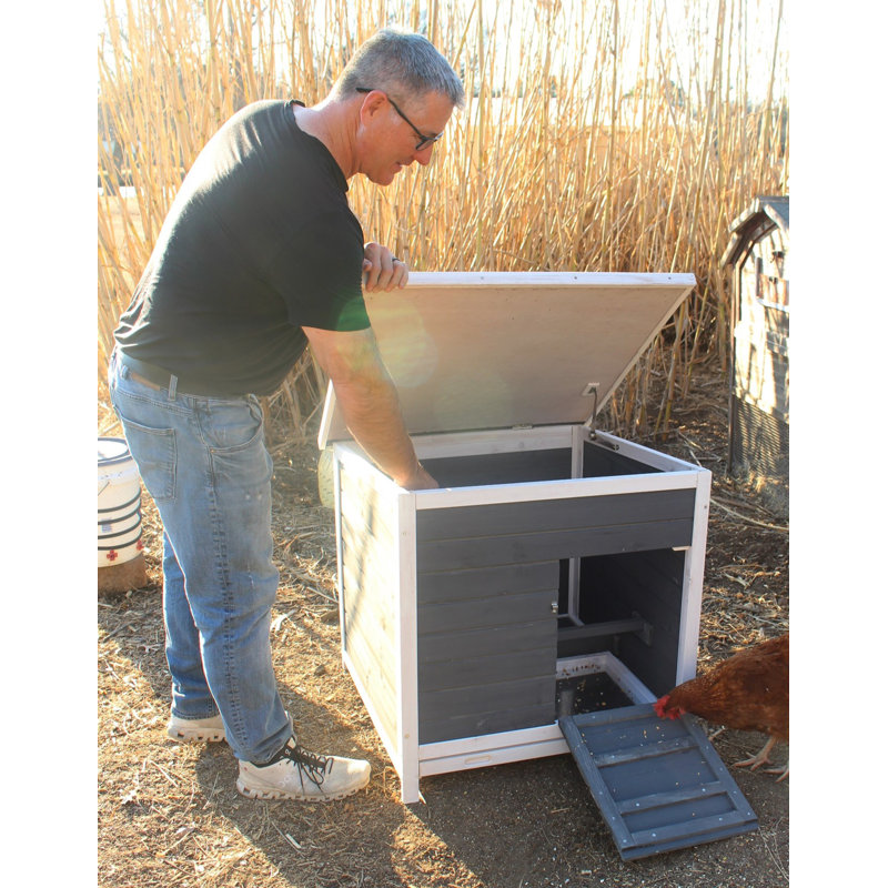 6.04 Square Feet Chicken Coop with Nesting Box For Up To 1 Chickens