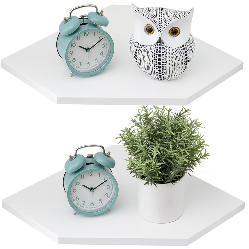 Bordie 2 Piece Floating Shelf