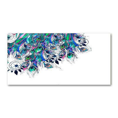 Peacock Feathers 1 Piece Wrapped Canvas Wall Art