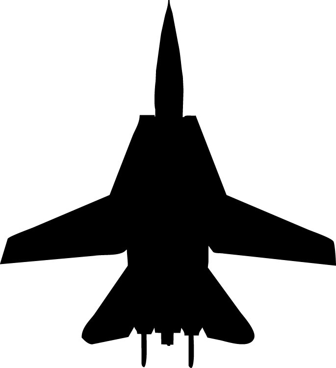 Adhésif décoratif Haynes Silhouette Jet (F14 Tomcat) III, H 24 po x l 22 po