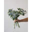 Mini paquet Meadow Daisy - 19,7 po-1503748732-1503748730