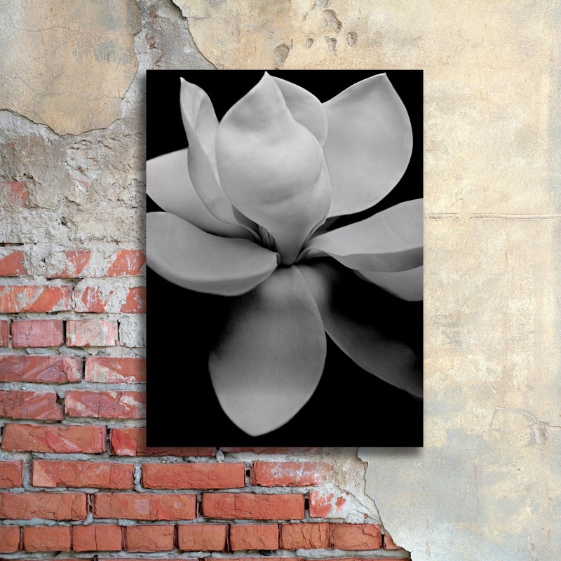 « magnolia », impression sur métal