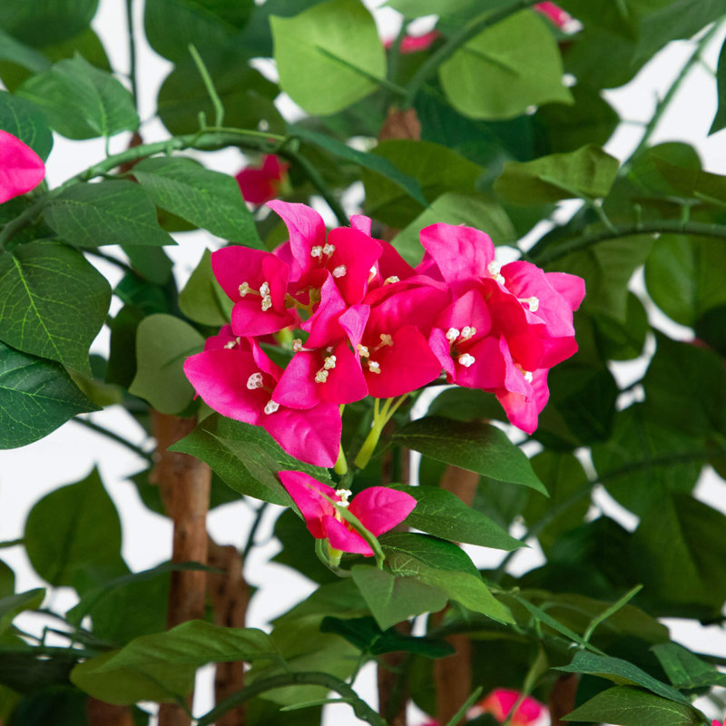 5 pi. Bougainvillée artificiel de luxe