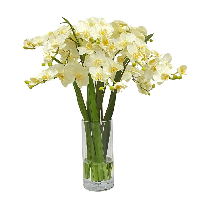 Vase Orchidée