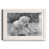 White Framed Paper selected