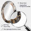 Pivoine blanche et blanche Blooms In Motion IV - Miroir mural traditionnel-831945690