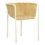Kamille Rattan and Metal Outdoor Dining Chair