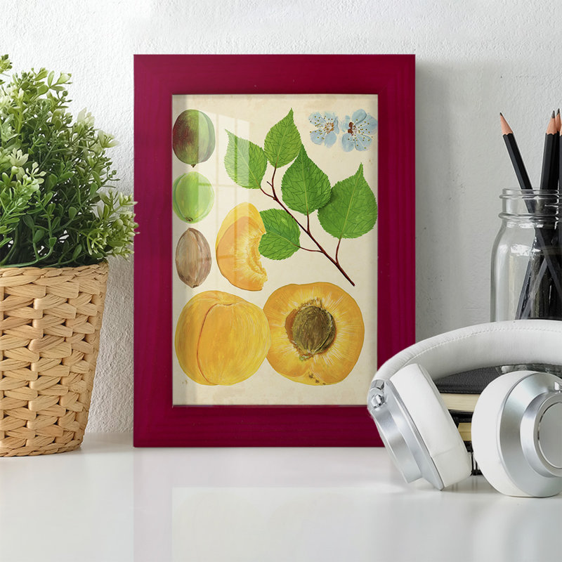 Apricot Study II - Single Picture Frame Print, Red, 6" H x 4" W x 1" D