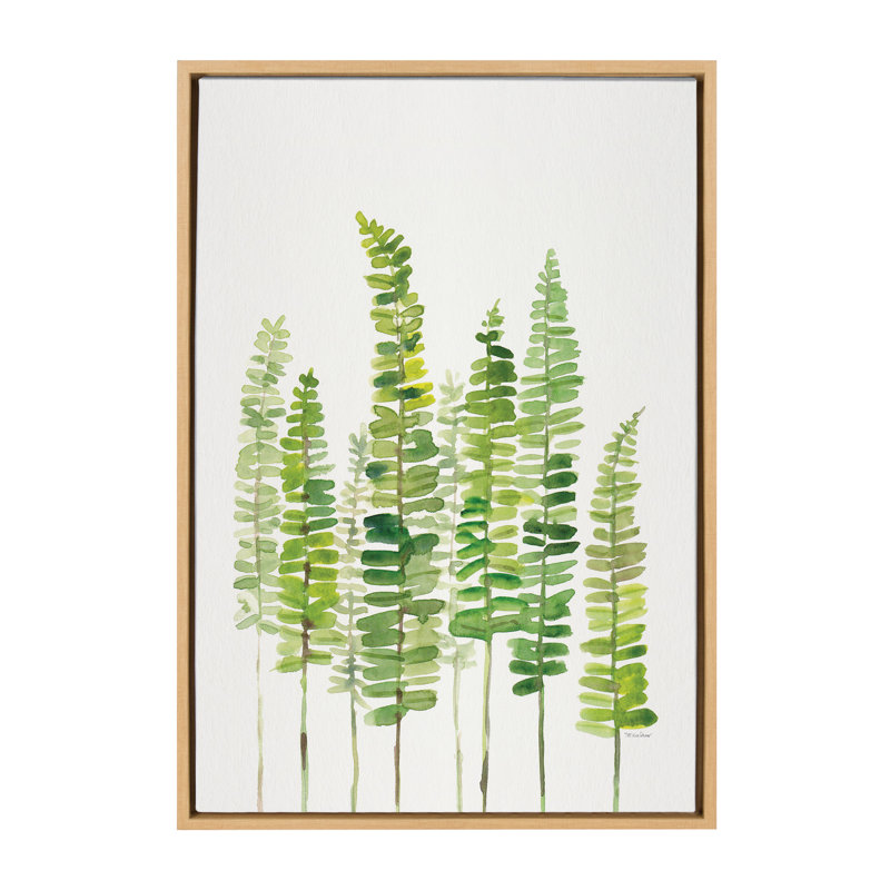 «Sword Ferns» par Patricia Shaw, reproduction d'art sur toile encadrée, H 33 po x l 23 po x P 1,62 po