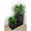 Faux calathea botanique au fini vert-1369256152