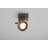 Spotlight-50488701