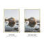 Cadre photo en métal avec verre-468581230-468581229