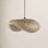 Deshields Single Light Pendant