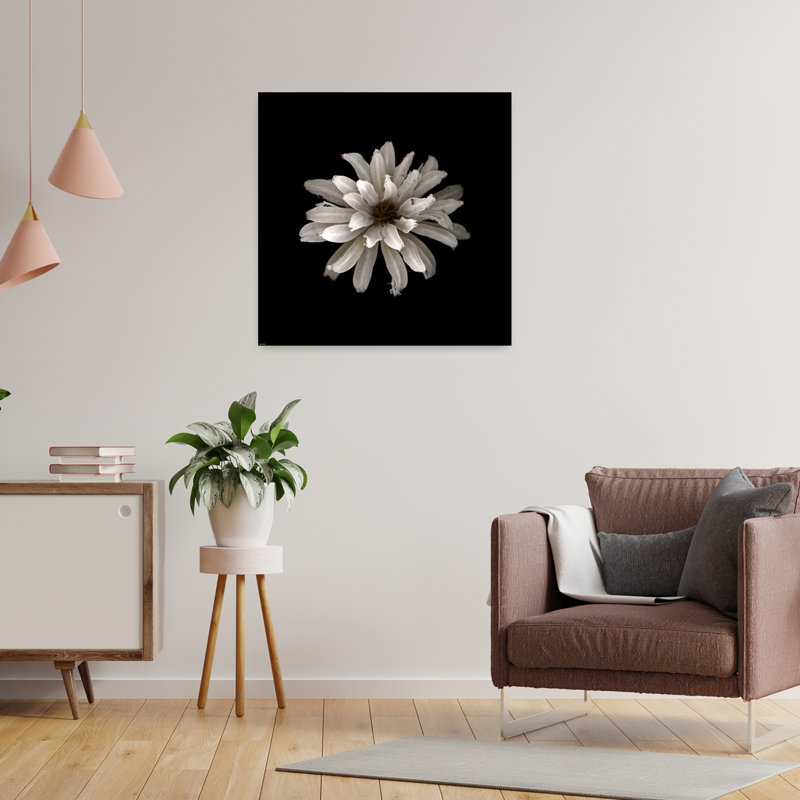 All White Contemporary Flower Art, 24" H x 24" W