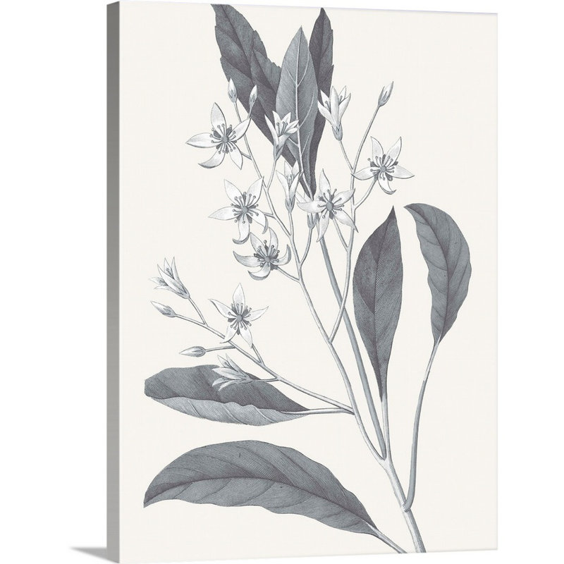 «Neutral Botanical V», art mural sur toile, Toile tendue, H 48 po x l 36 po x P 1 po