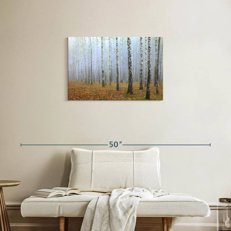 Misty Birch Forest