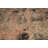Distressed Look Abstract Area Rug 5x8