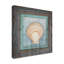 « cadre gypsy sea shell », reproduction de photo sur toile tendue-26859223