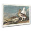 Roock Grouse by John Audubon - Wrapped Canvas-55323848