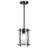 1-Light Small Pendant with Clear Glass Panels