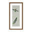 Nature Inspired "Vivid Flutter" Canvas Wall Art By -417407272-417407315-423896718