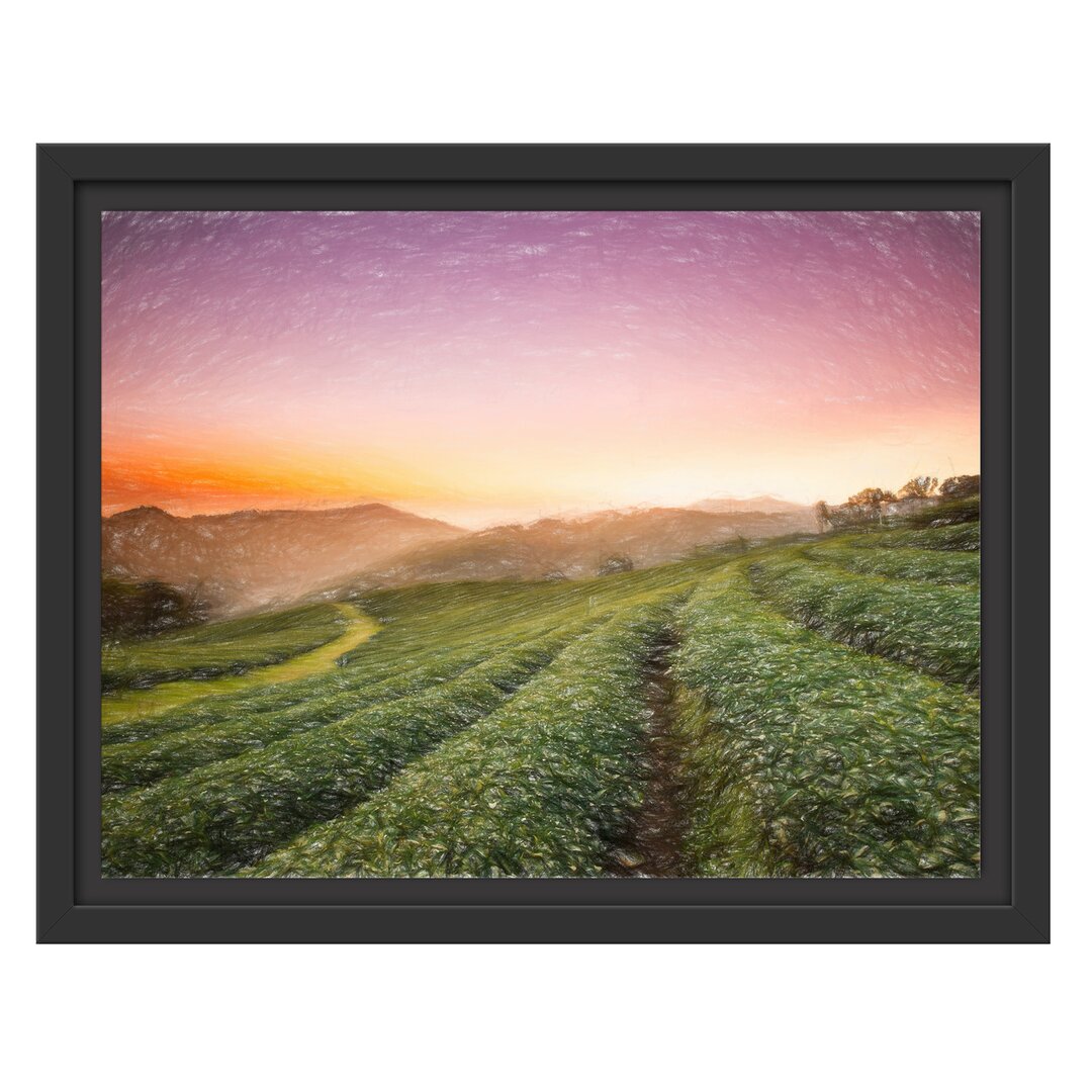 Gerahmtes Wandbild Sonnenaufgang Teeplantage Thailand