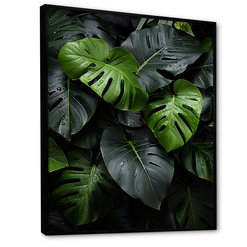 Dominicain, feuillage tropical II - impression, Cadre flottant noir, H 44 po x l 34 po x P 1,5 po