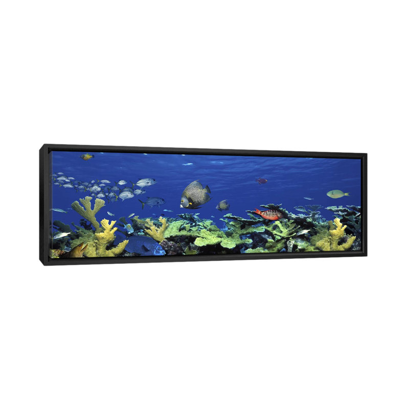 " School Of Fish Swimming In The SeaDigital Composite " by Panoramic Images, 12" H x 36" W x 1.5" D, Black Framed
