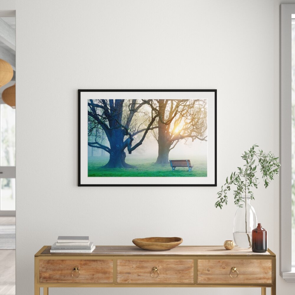 Gerahmtes Poster Baum und Bank im Nebel