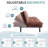 George Oliver & Unia ！！ Futon Sofa Bed with Adjustable Armrests & Backrests - 2.5" Plush Memory Foam, 15-Min Assembly, Compact Space Hero-676605068