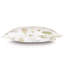 Carlotta Sham-38350998