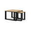 Nuka Coffee Table