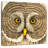 Brampt Owl Sculpture-109369322