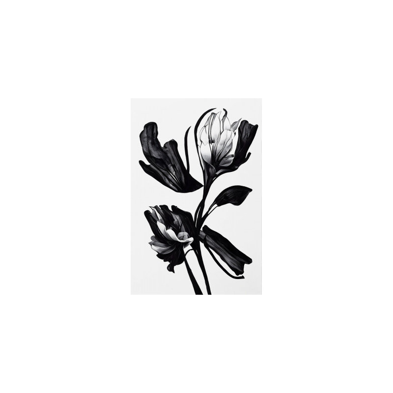 Wrapped Canvas Print, 76.2 cm H x 50.8 cm W