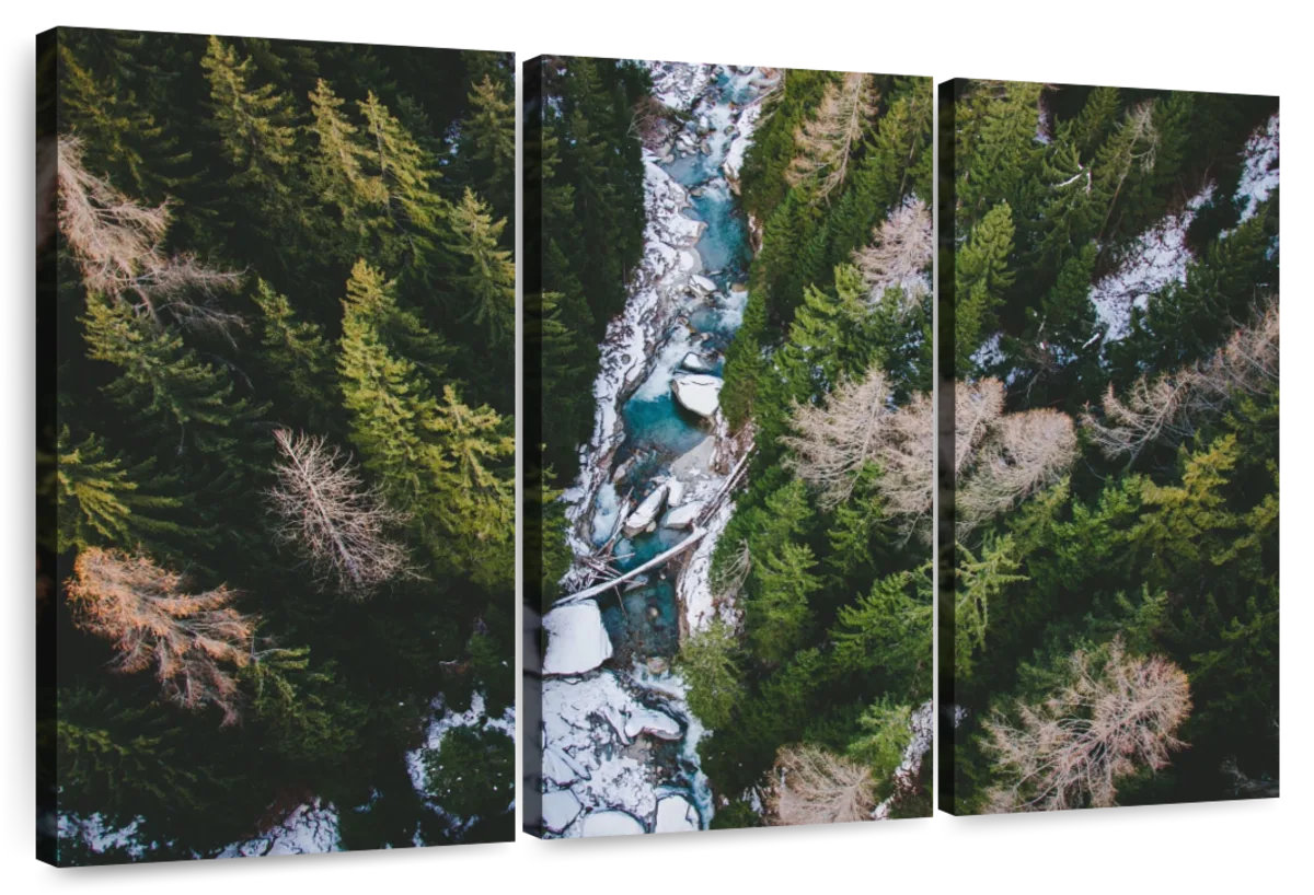 Millwood Pines Alvord Forest Landscape | Wayfair