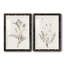 «Neutral Botanical Study VIIP», reproduction d'art encadrée - prête à être accrochée-558944179-559107761-558944174