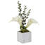 Beautiful Lilies in Planter