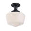 Outdoor Semi Flush Mount-76393286