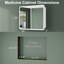 Armoire à pharmacie Brendyn 32 po L x 30 po H avec miroir, éclairage DEL à intensité et couleur réglables, antibuée, fonction mémoire, étagères en verre réglables, montage encastré ou en surface, certifiée ETL-251366853-203173053