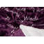 Couverture d’impression polaire cadeau Clavene-33304366